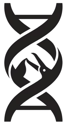Helix Clinic